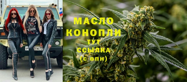 винт Абаза