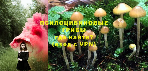 spice Россошь