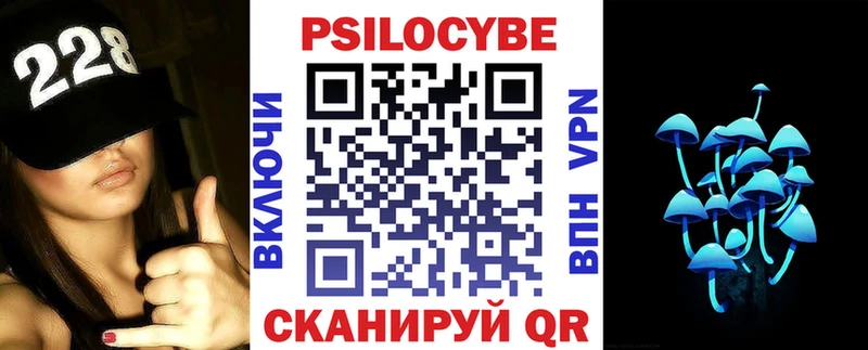 даркнет сайт  Сольцы  Псилоцибиновые грибы Psilocybe 